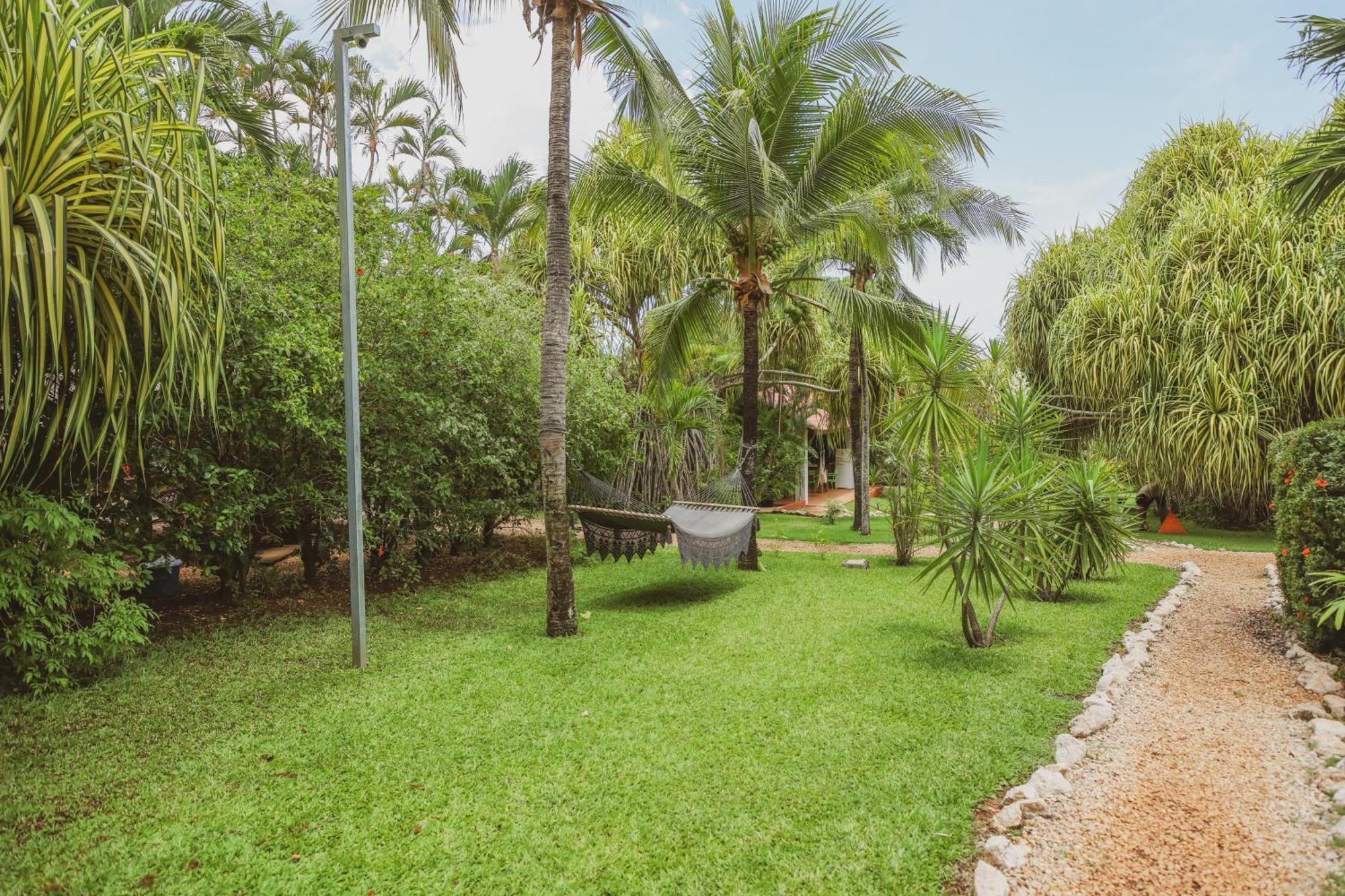Hotel Villa Del Sol Coco Zewnętrze zdjęcie