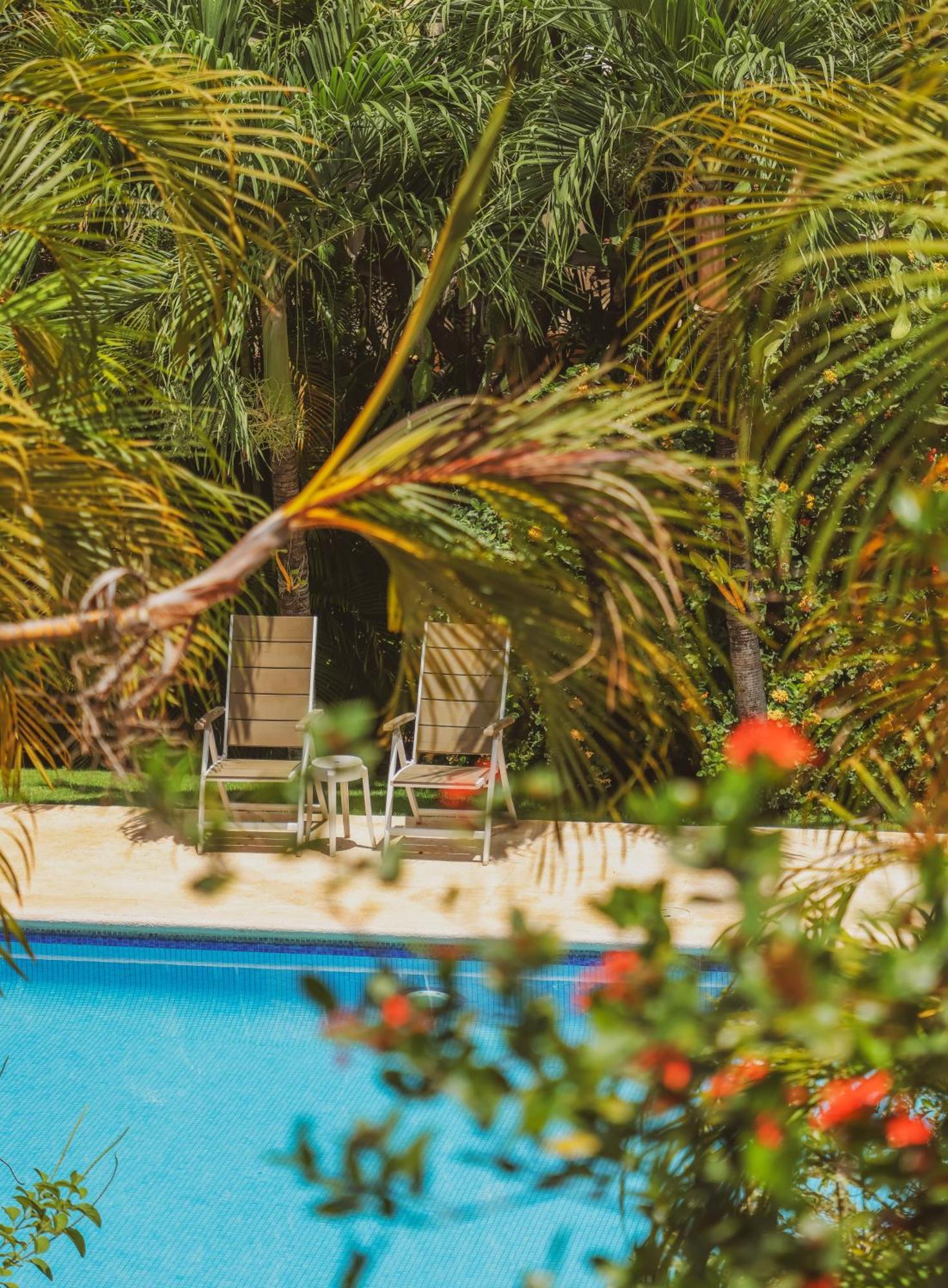 Hotel Villa Del Sol Coco Zewnętrze zdjęcie